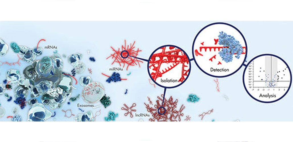 RNA profiling using a simple, complete workflow